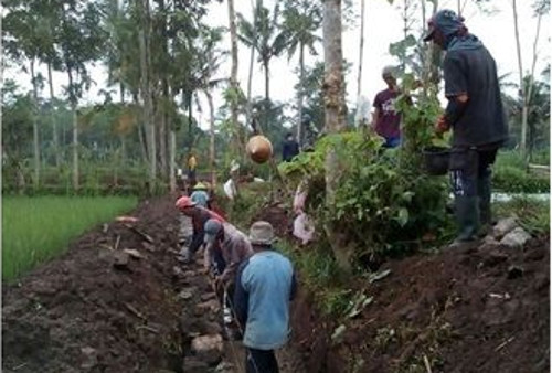Desa Curahpoh Curahdami Bondowoso Alokasikan Dana Desa untuk Padat Karya Tunai sehingga Tekan Kemiskinan