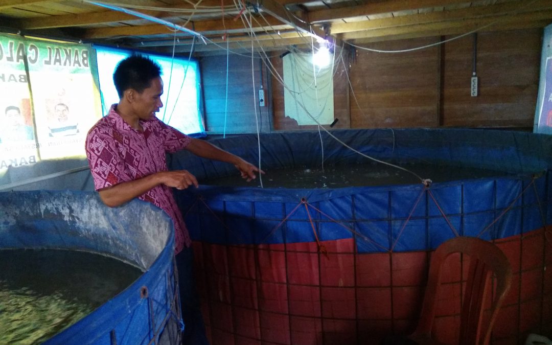 Desa Balida Menggerakkan Ekonomi Kreatif dan Melestarikan Budaya Banjar Melalui Pasar Budaya Racah Mampulang dan Budidaya Ikan Bioflok