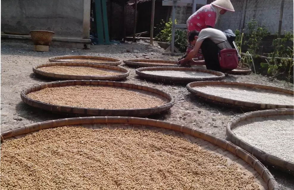 BUMDes Cisembada Desa Cingebul Banyumas Hilirisasi Merica Lokal sehingga Petani Lepas Jerat Tengkulak dan Naikkan Pendapatan