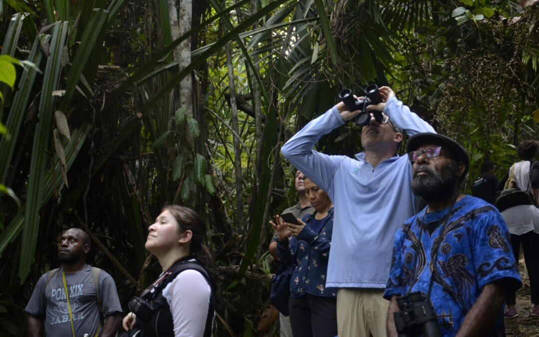 ID 01021: Rhepang Muaif Membangun Wisata Birdwatching Cenderawasih dan Menggerakkan Ekonomi Hijau Papua