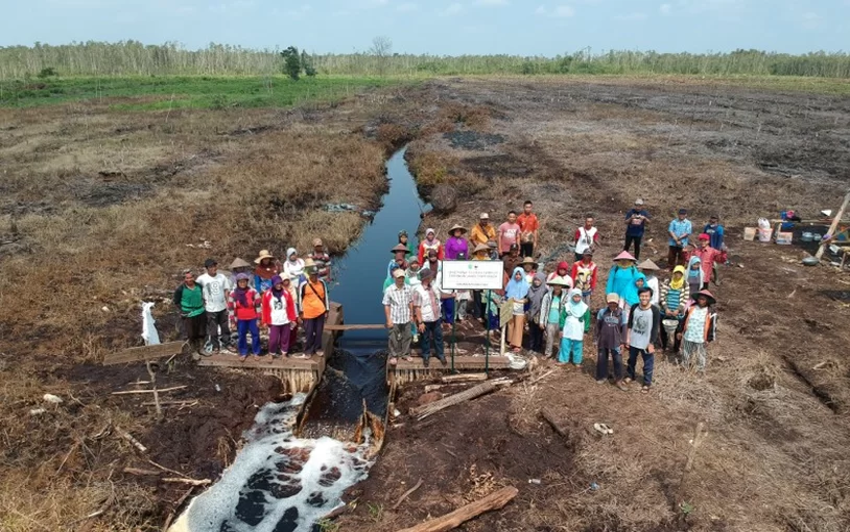 Desa Sebangau Mulya Buka Lahan Gambut Tanpa Bakar dan Pulihkan Ketahanan Pangan Lewat Dana Desa