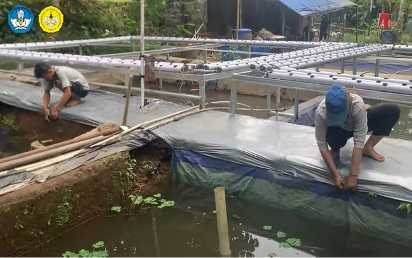 Pokdakan Mina Mandiri Serayu Larangan Purbalingga Terapkan Akuaponik Ikan dan Sayuran