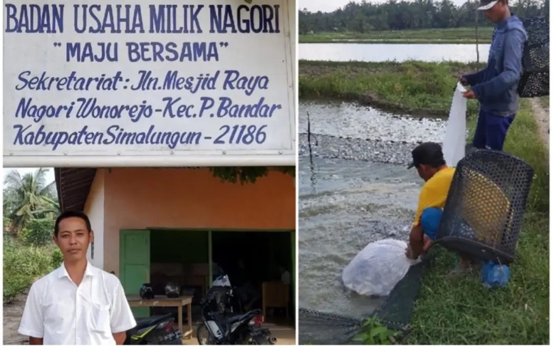 BUMNag Maju Bersama Wonorejo Simalungun Integrasikan Modal Sosial dan Gerakkan Ekonomi Pembibitan Ikan Nila