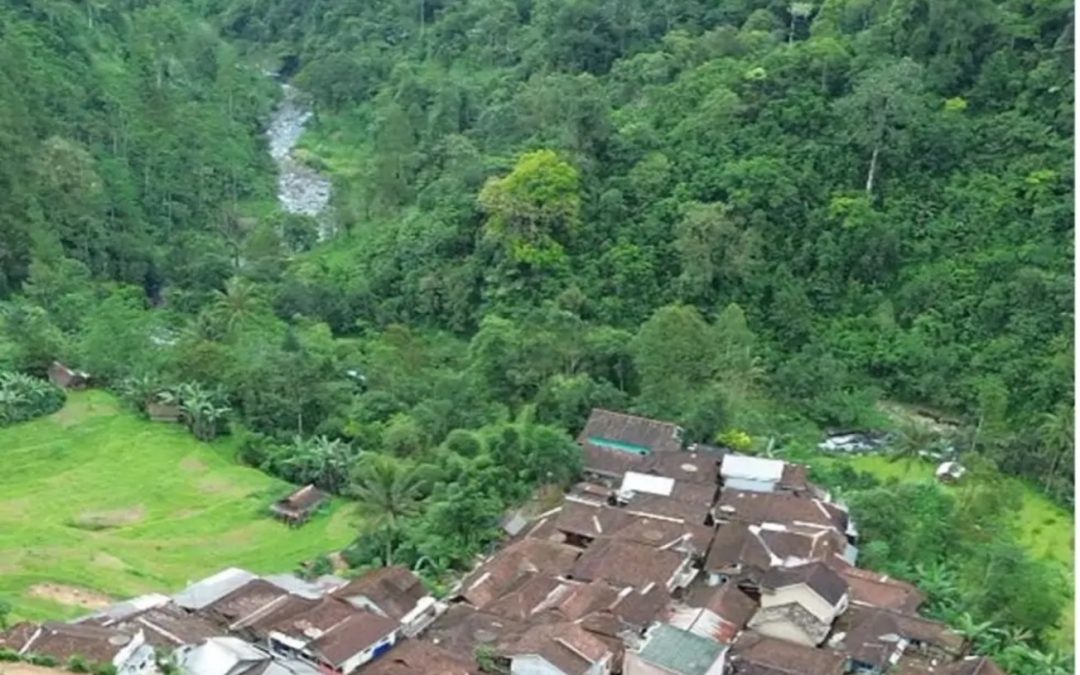 Desa Wisata Bedagung Paninggaran Kabupaten Pekalongan Kembangkan Agrowisata Kopi Warisan VOC Menembus 10 Besar Jawa Tengah