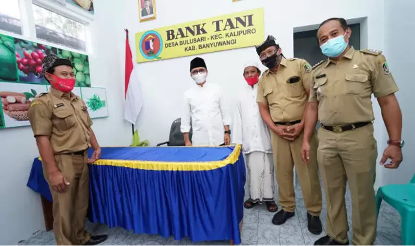 Desa Bulusari Kalipuro Kabupaten Banyuwangi Kembangkan Bank Tani Pinjaman Sarana Produksi Bebas Tengkulak Perkuat Kesejahteraan Petani