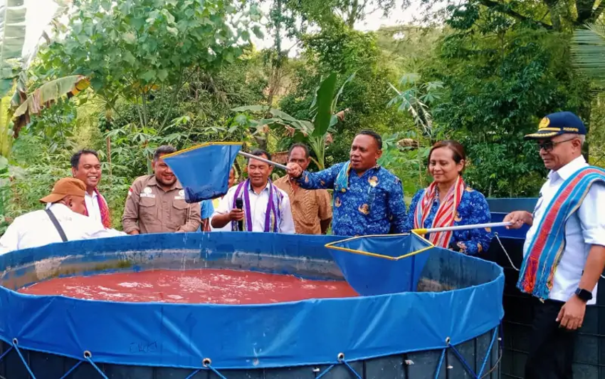 BUMDes Tunas Baru Desa Puna NTT Bentuk PT Kelola Tambang Batu Pecah untuk Tingkatkan Pendapatan Desa