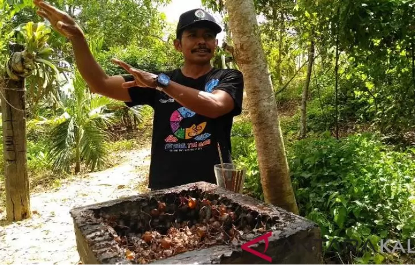 Pemerintah Desa Bhuana Jaya Membudidayakan Madu Kelulut Guna Meningkatkan Pendapatan Warga Serta Memperkuat Kemandirian Ekonomi Lokal
