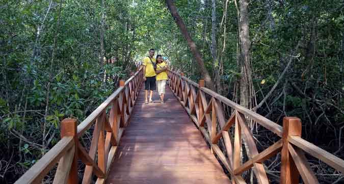 Desa Karangguli Kepulauan Aru Kembangkan Agroekowisata Ursia Guli untuk Dorong Kemandirian Ekonomi di Daerah 3T