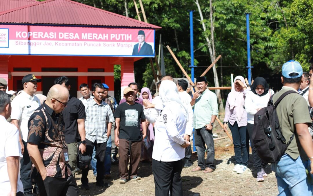 Inovasi KDMP Sibanggor Jae: Integrasi Enam Unit Usaha dan Skema Bayar Panen untuk Kemandirian Desa Mandailing Natal